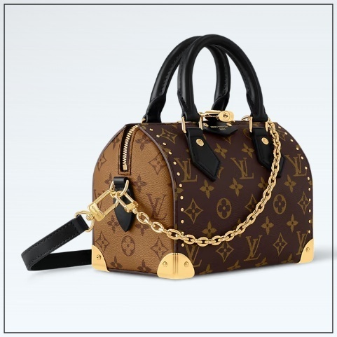 《ハンドルがかっこいい》Louis Vuitton Speedy 20 トランク