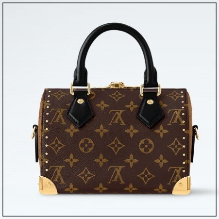 《ハンドルがかっこいい》Louis Vuitton Speedy 20 トランク