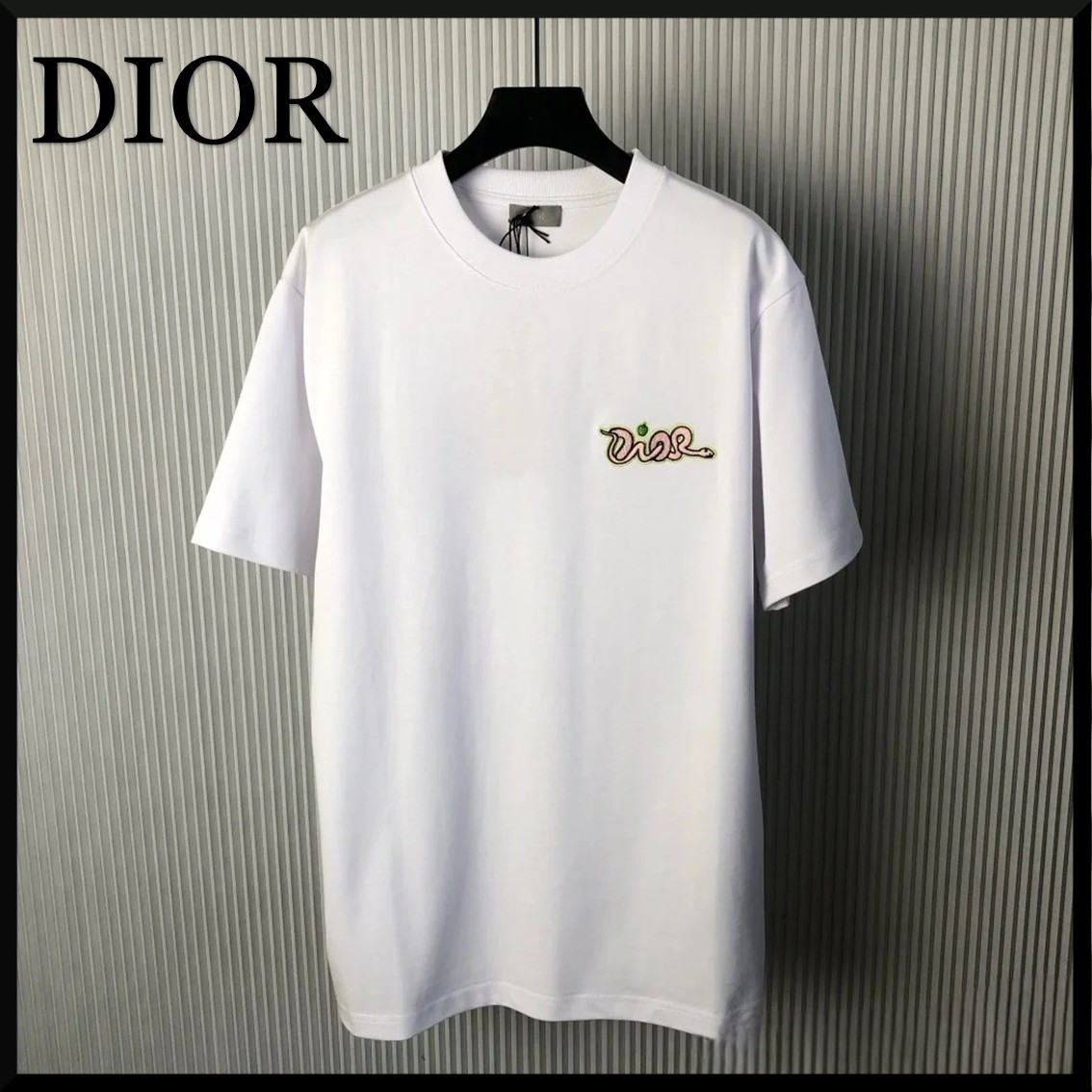 【★限定コラボ】DIOR AND KAWS Tシャツ (リラックス フィット)