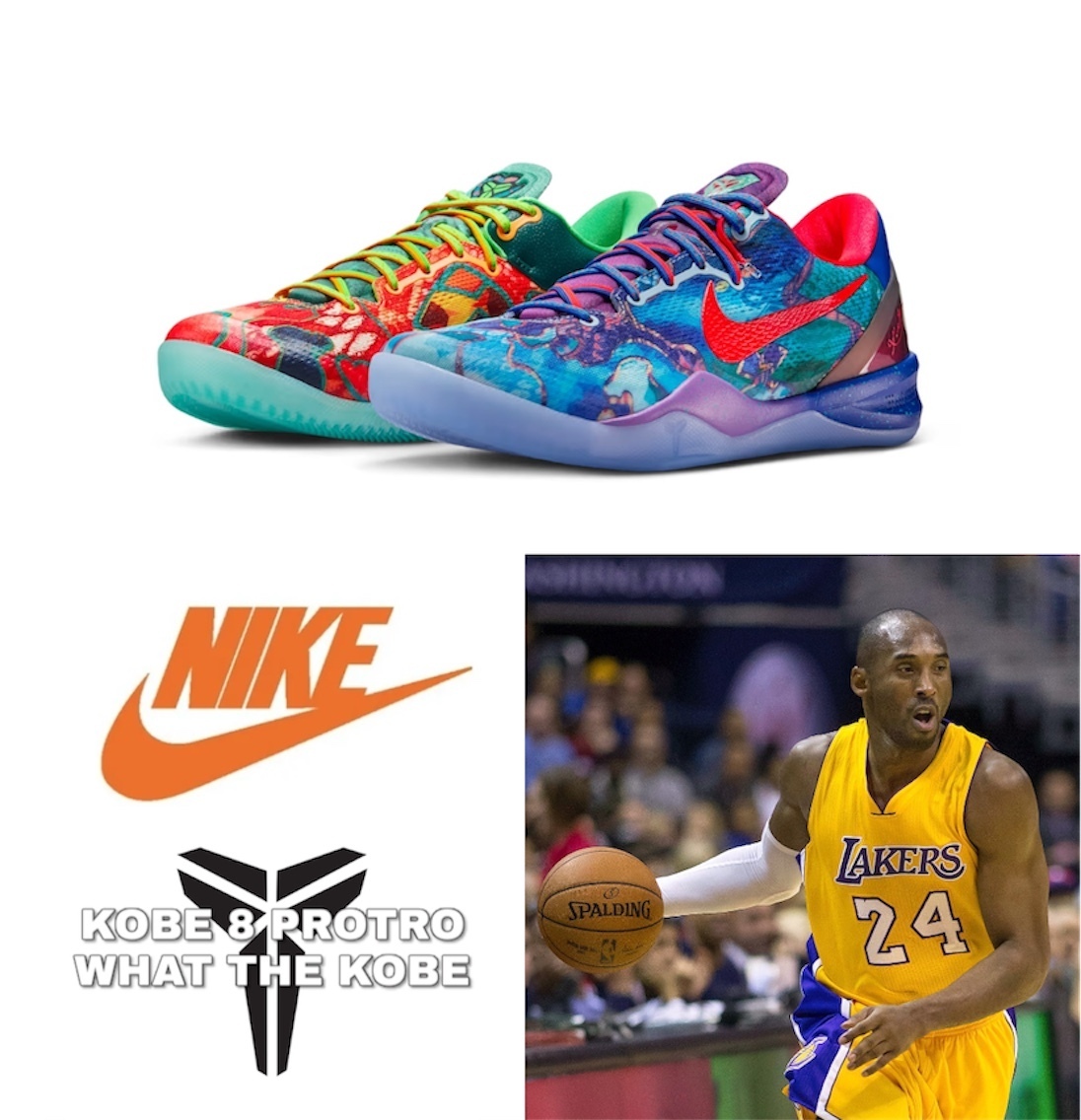 NIKE ☆ Kobe 8 Protro ‘What the KOBE’