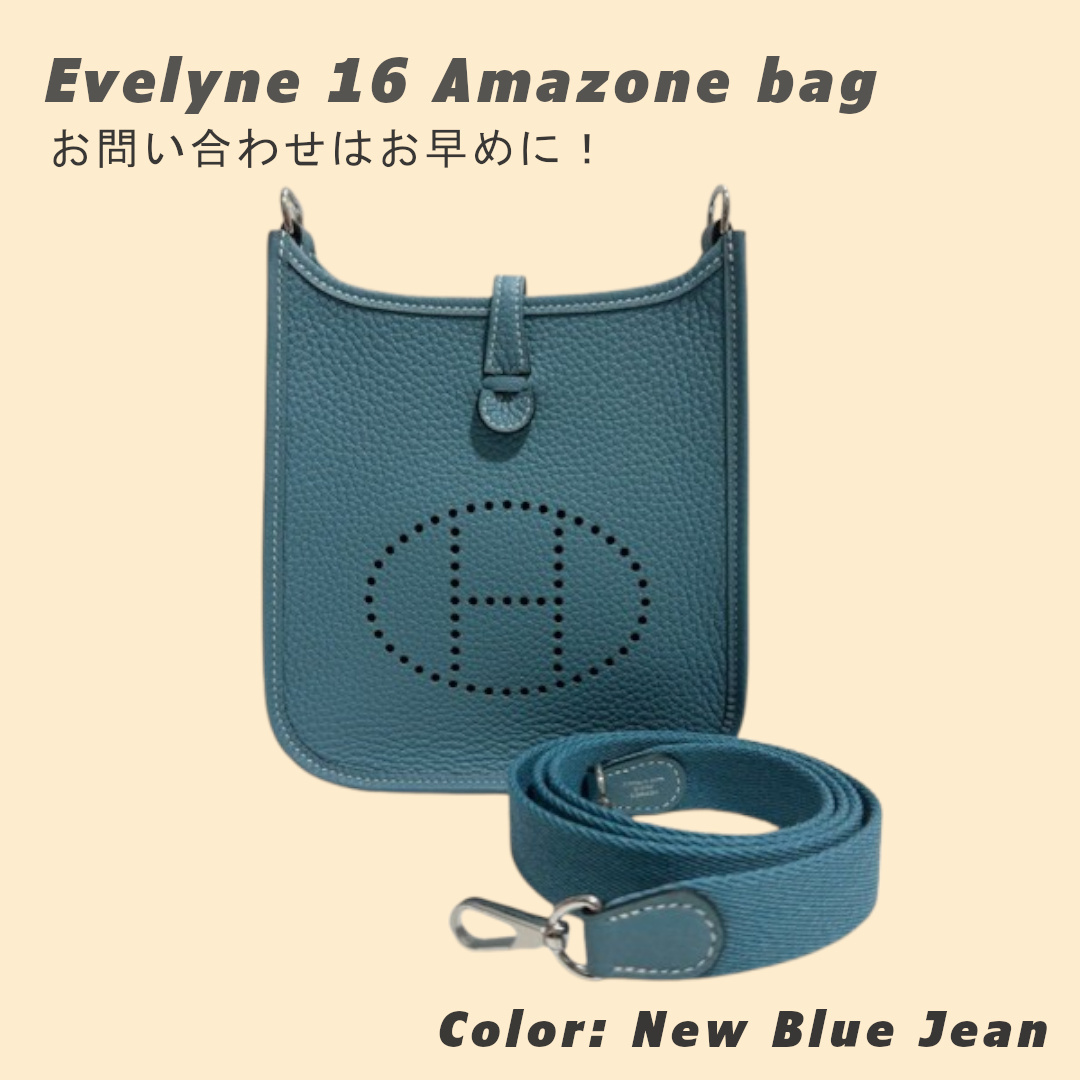 【完売必至】HERMES (エルメス) ■ エヴリン TPM 16 ショルダー