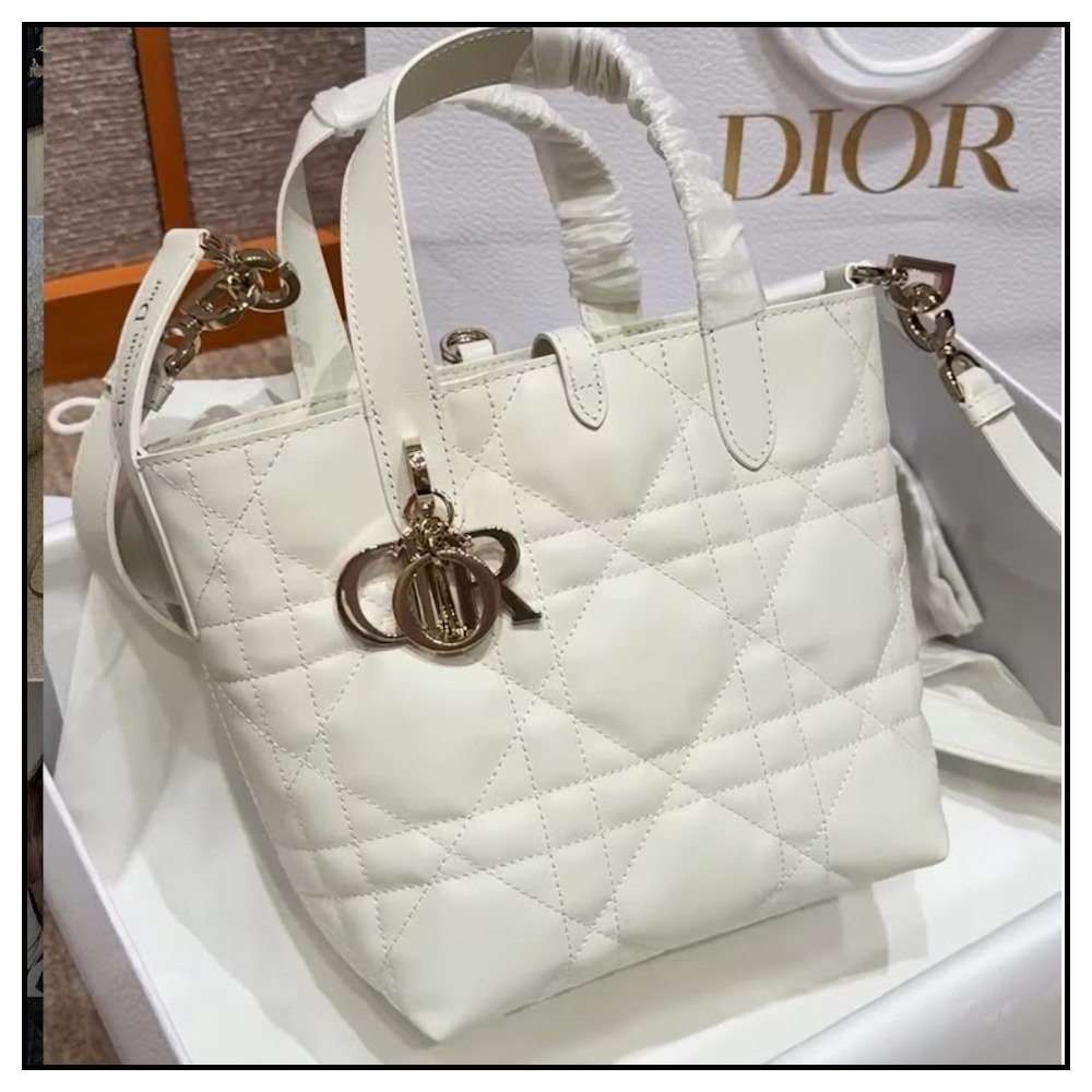 Dior Toujours バーティカル Nanoトートバッグ ラテホワイト