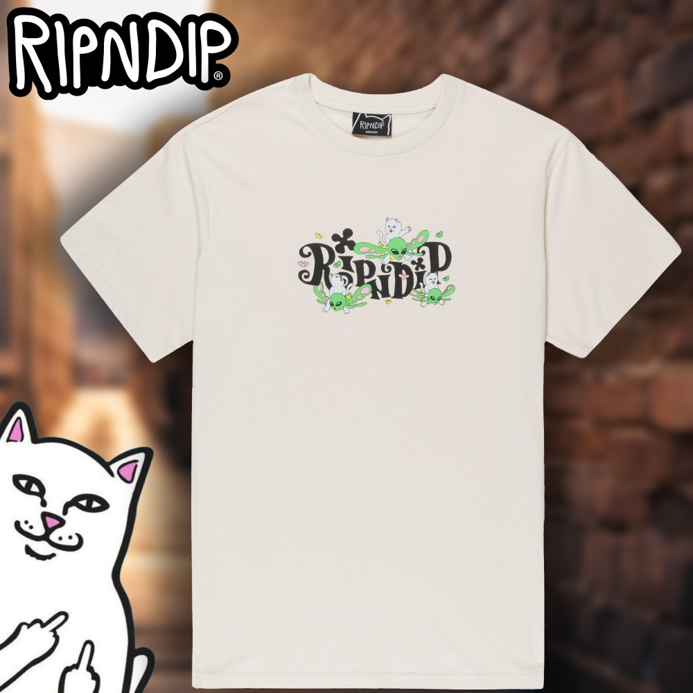 ■送料関税込み■【RipnDip】Fly Away Tシャツ