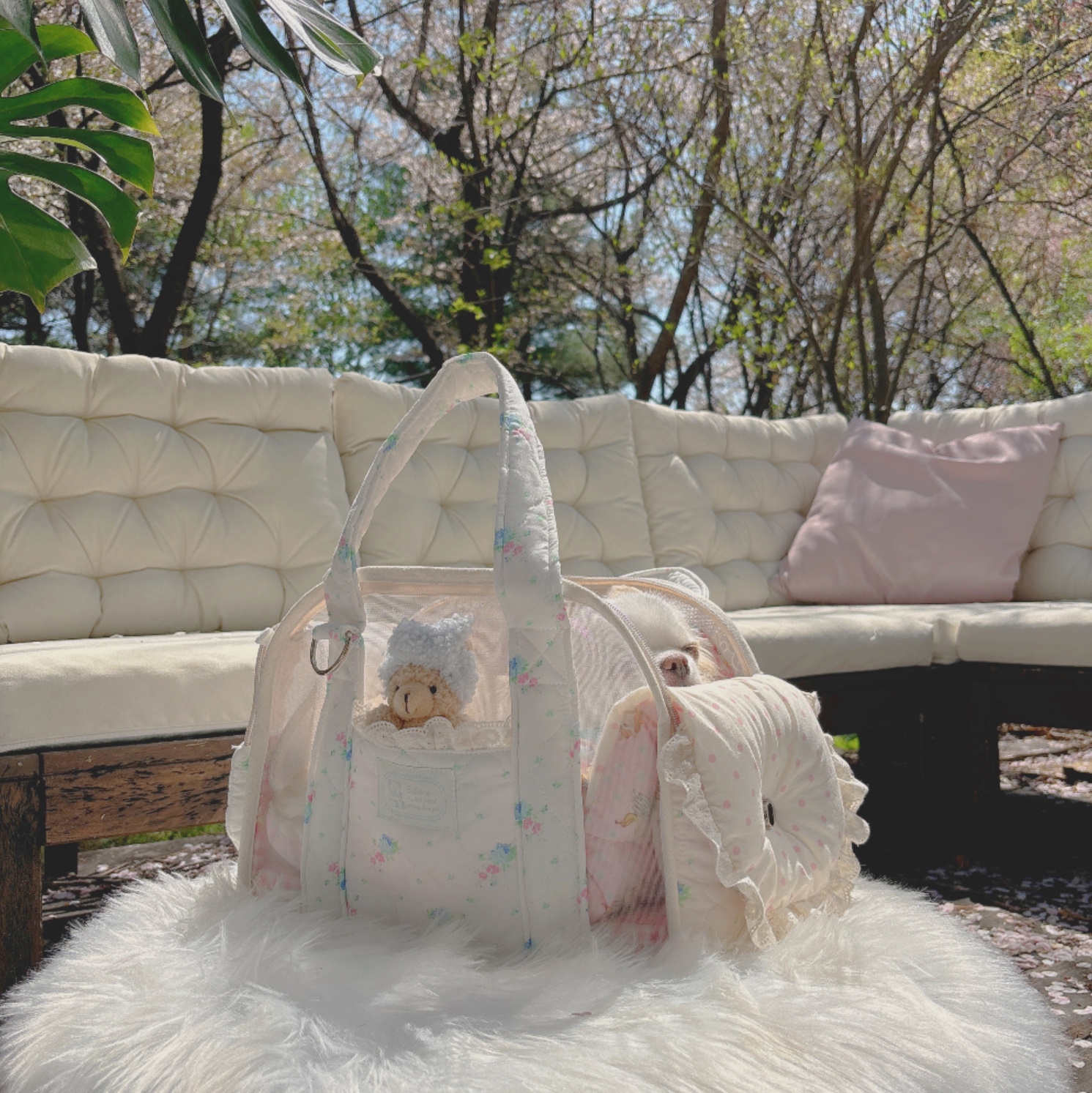 《韓国BABIANA》AJI BAG シースルー(ピュアバニー) XS/Sサイズ