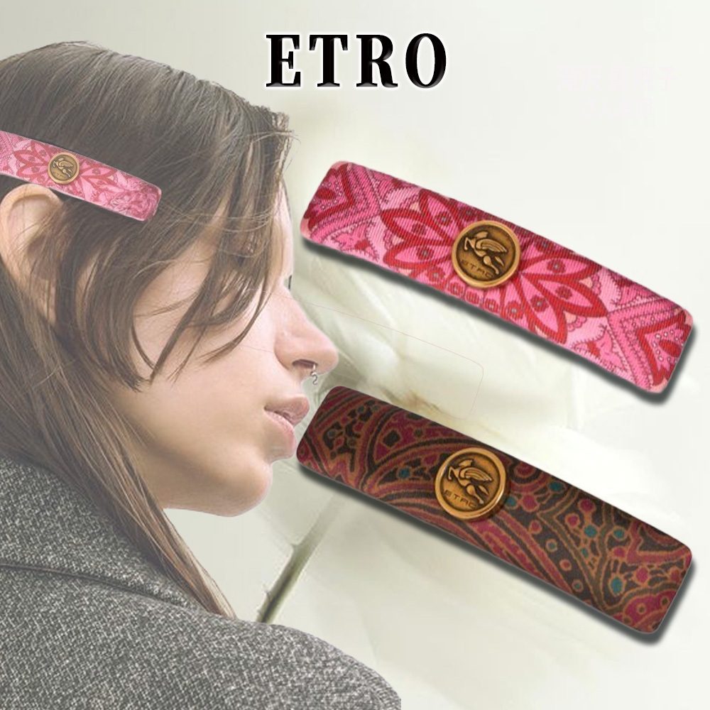 【日常を華やかに】ETRO ペガソメダリオン付きヘアクリップ