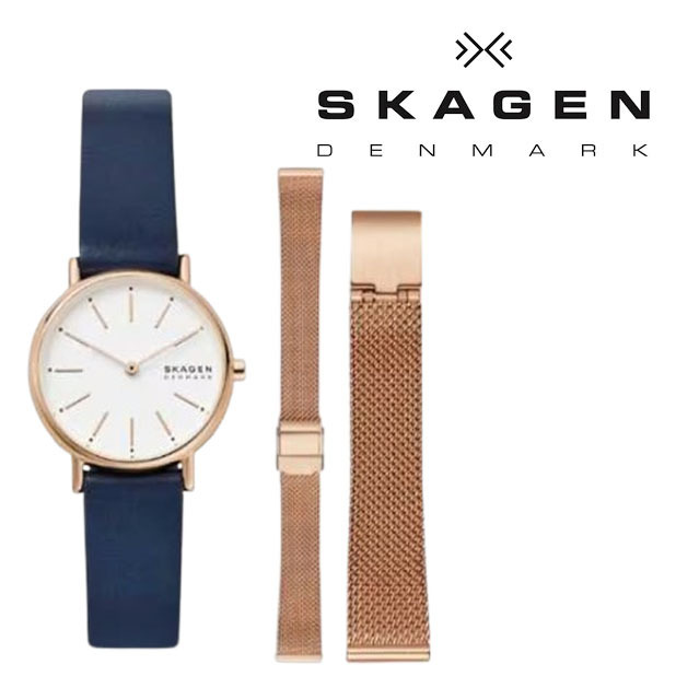 [関税込/国内発送] SKAGEN 腕時計 SKW69X215LT セット