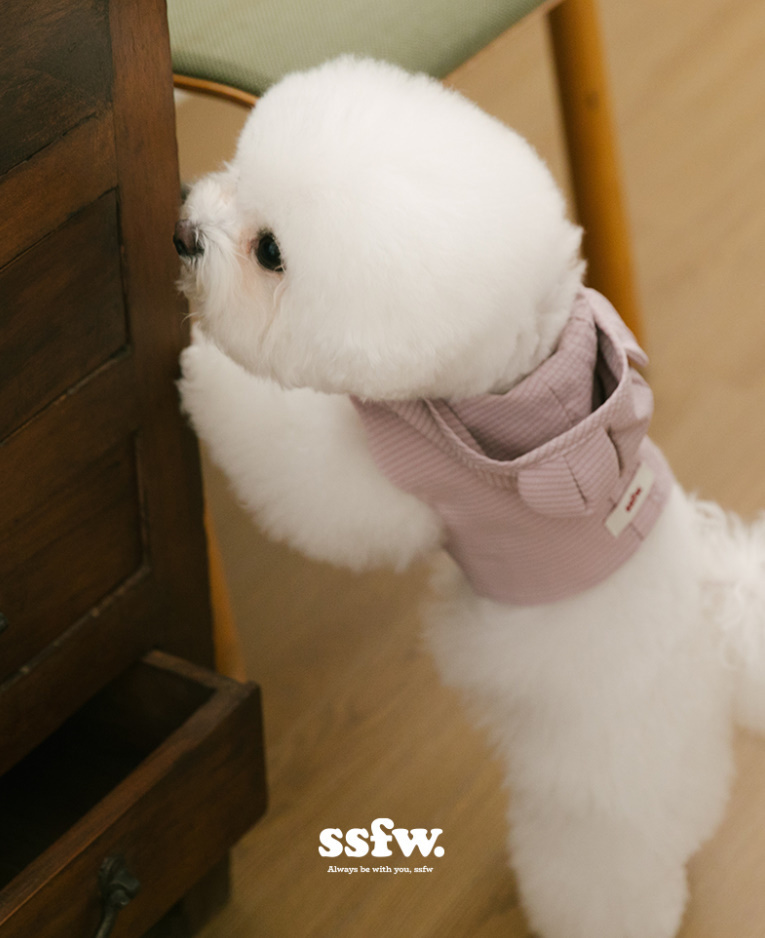 《韓国 SSFW》Love Walk Teddy ハーネス ☆ 散歩用 首輪