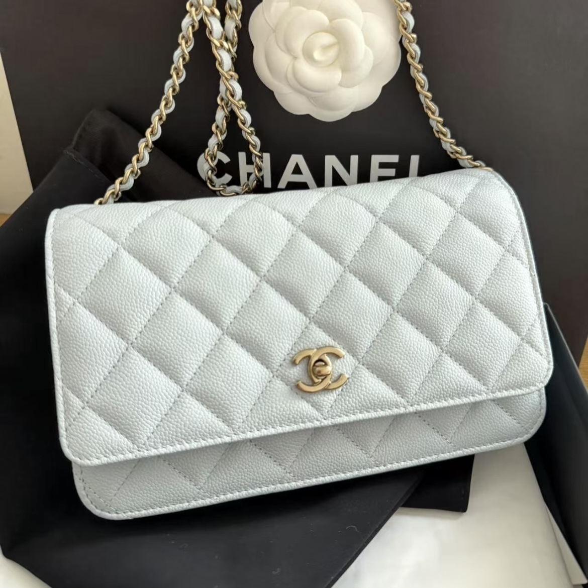 《爽やかな上品カラー♪》25S限定★CHANEL チェーンウォレット