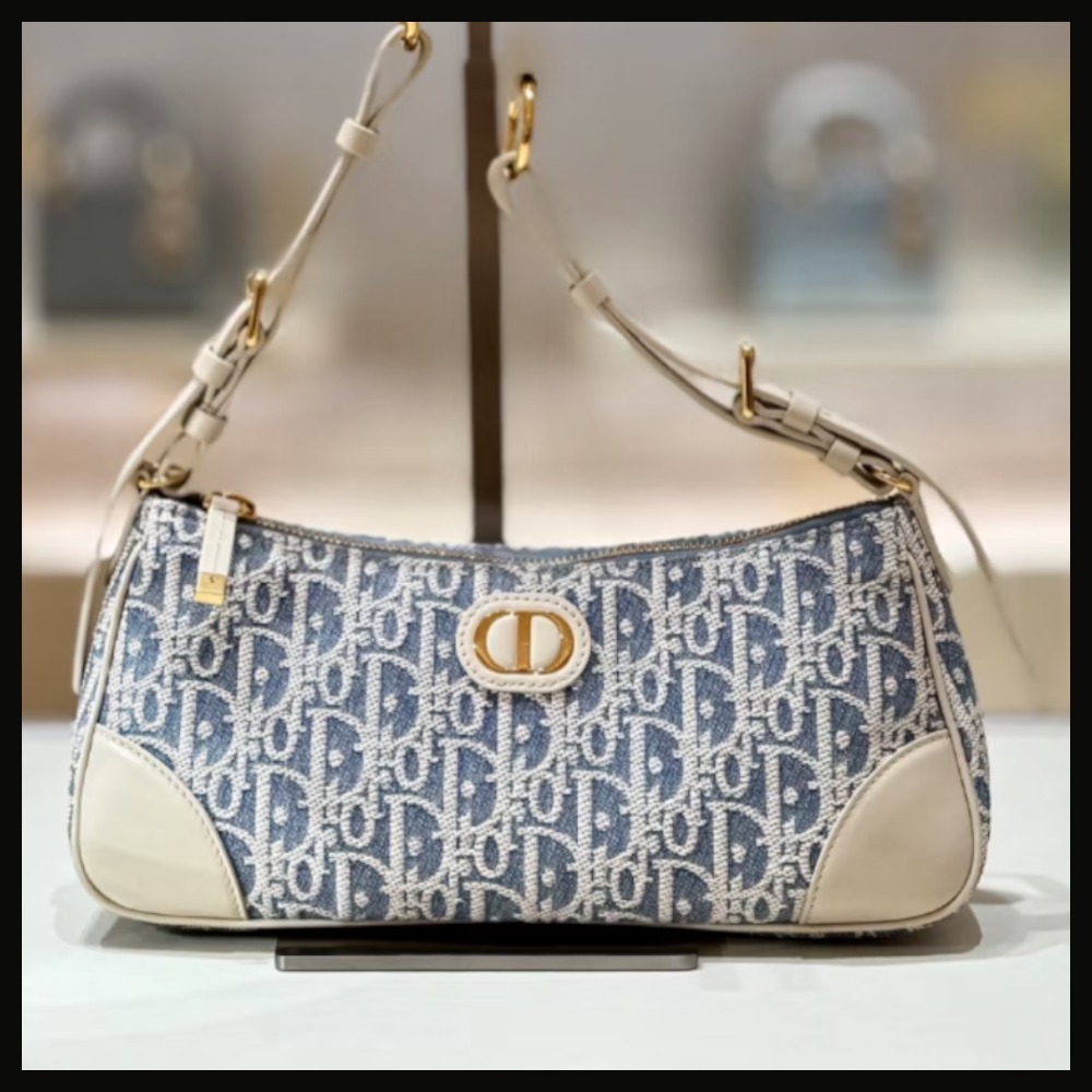 【希少早いものがち】Dior 30 Montaigne Wanderlust ミニバッグ