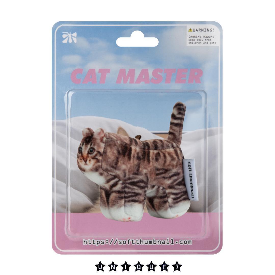 【SOFT THUMBNAIL】 Chovy, Domestic Shorthair
