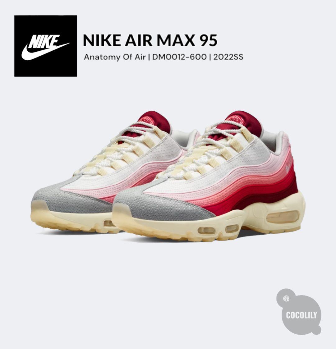 NIKE ☆ Air Max 95 ‘Anatomy of Air’