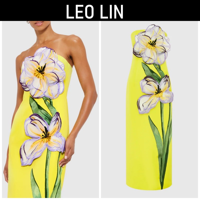 【Leo Lin】Rayna Applique Bustier Maxi Dress