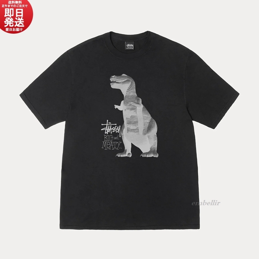 SALE 即日発送 送料関税込 日本完売品 STUSSY BIG & MEATY TEE