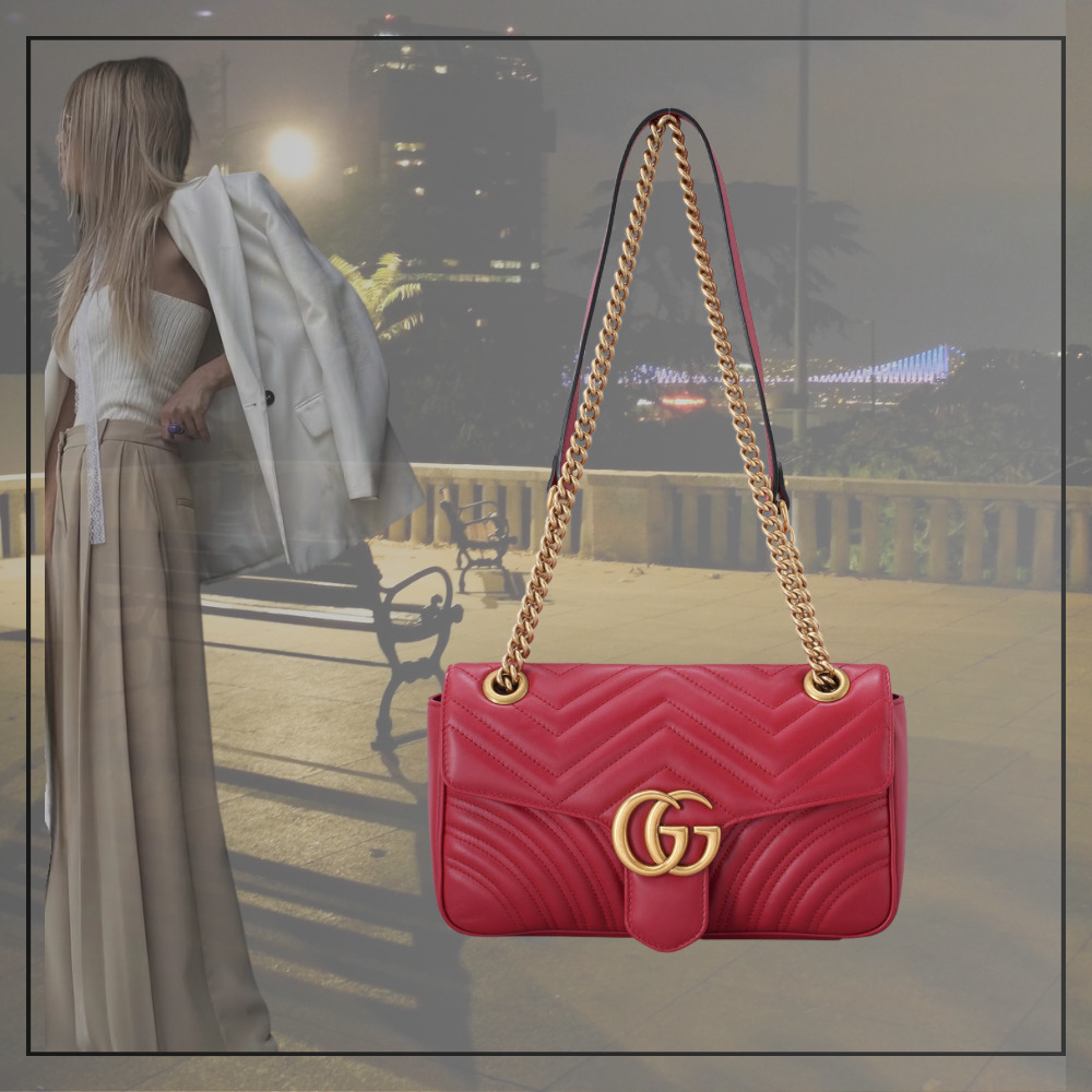 【出会えた一点物】GUCCI マモンチェーンショルダーバッグ