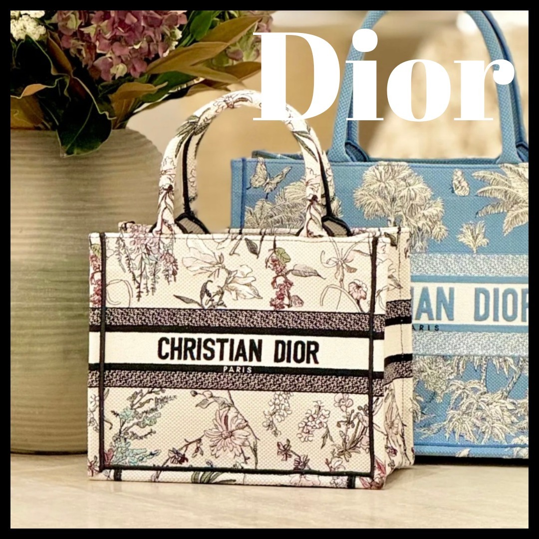 【清楚なデザインが魅力的】Dior ブックトート スモール