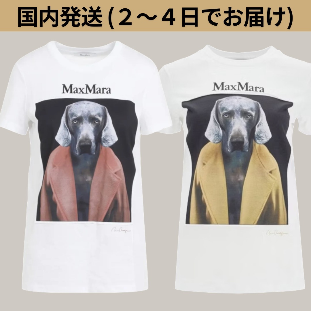 MAX MARA☆マックスマーラ CIPRIA コットンTシャツ 国内発送