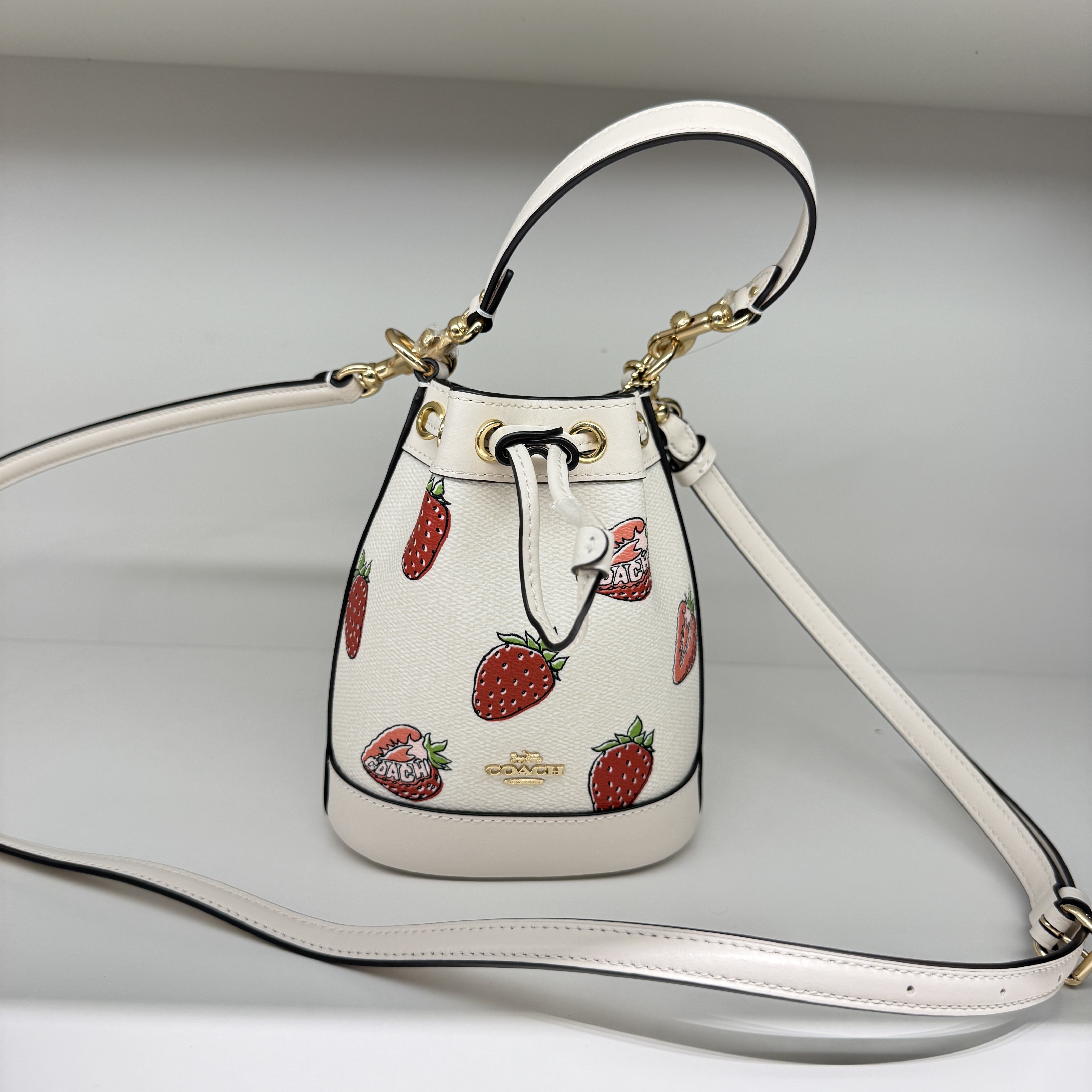 日本未入荷 Coach CAL11 Mini Bucket Bag フルーツ柄