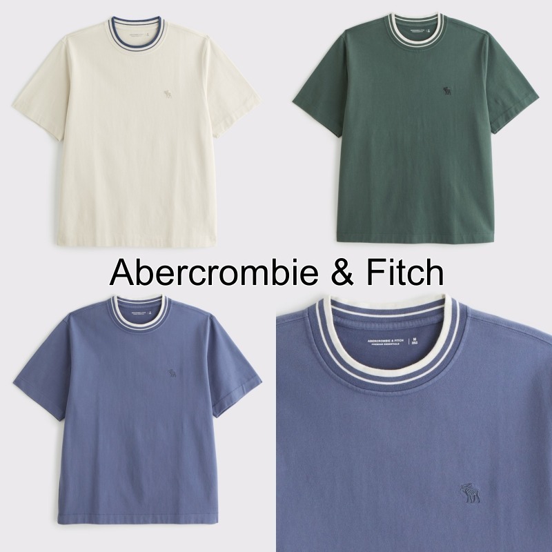 ☆Abercrombie & Fitch☆ ヘビーウェイト アイコン Tシャツ