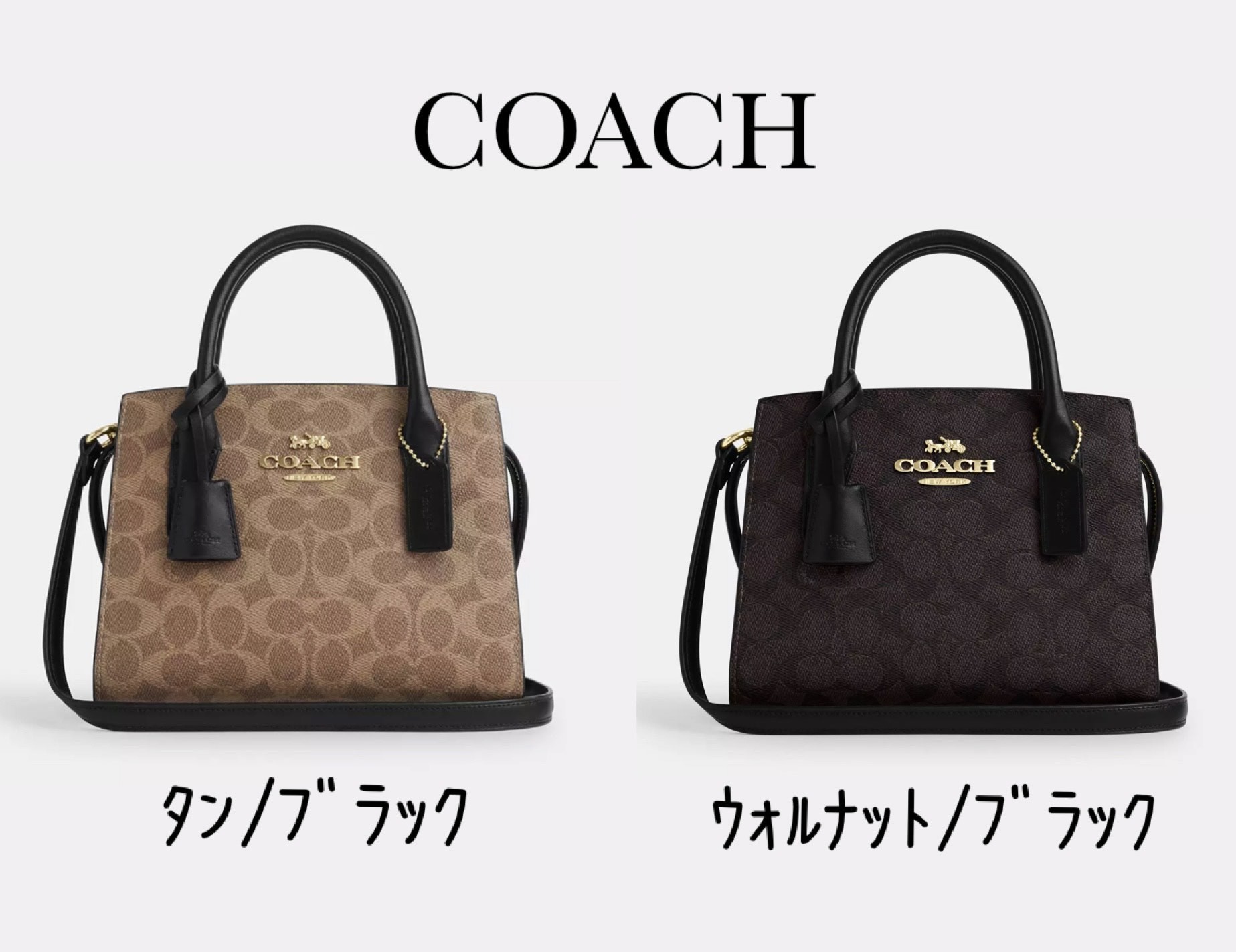 COACH アンドレア キャリーオール バッグ シグネチャー