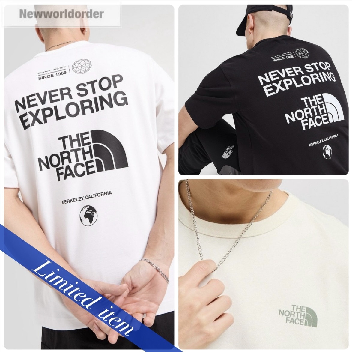 【海外限定】THE NORTH FACEノースフェイス グラフィックTシャツ