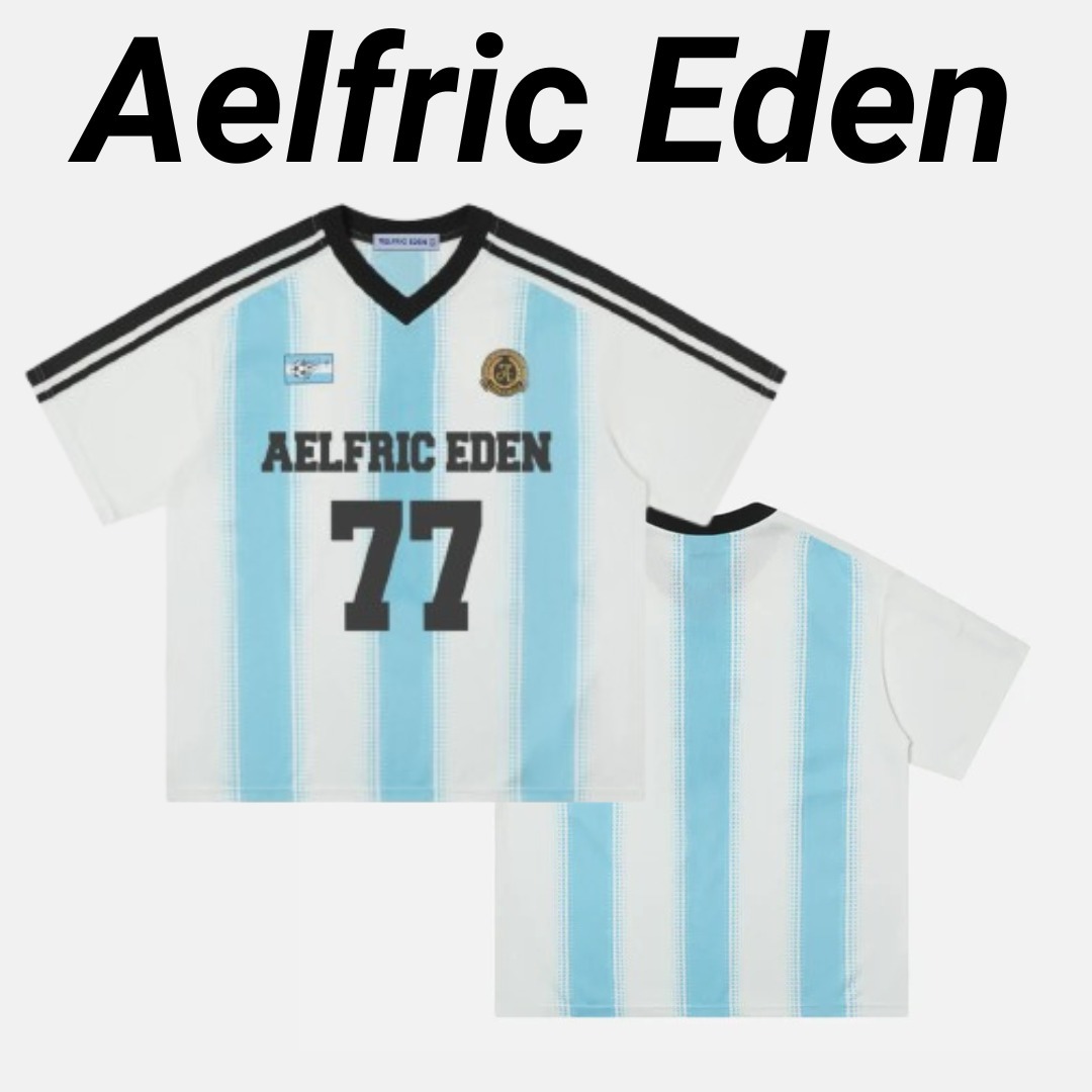 ◆Aelfric Eden◆カラーブロッキング メッシュTシャツ 送料込
