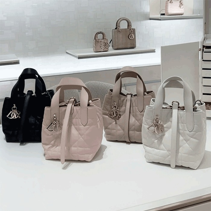 【3wayで使える】Dior Toujours バーティカル Nanoトートバッグ
