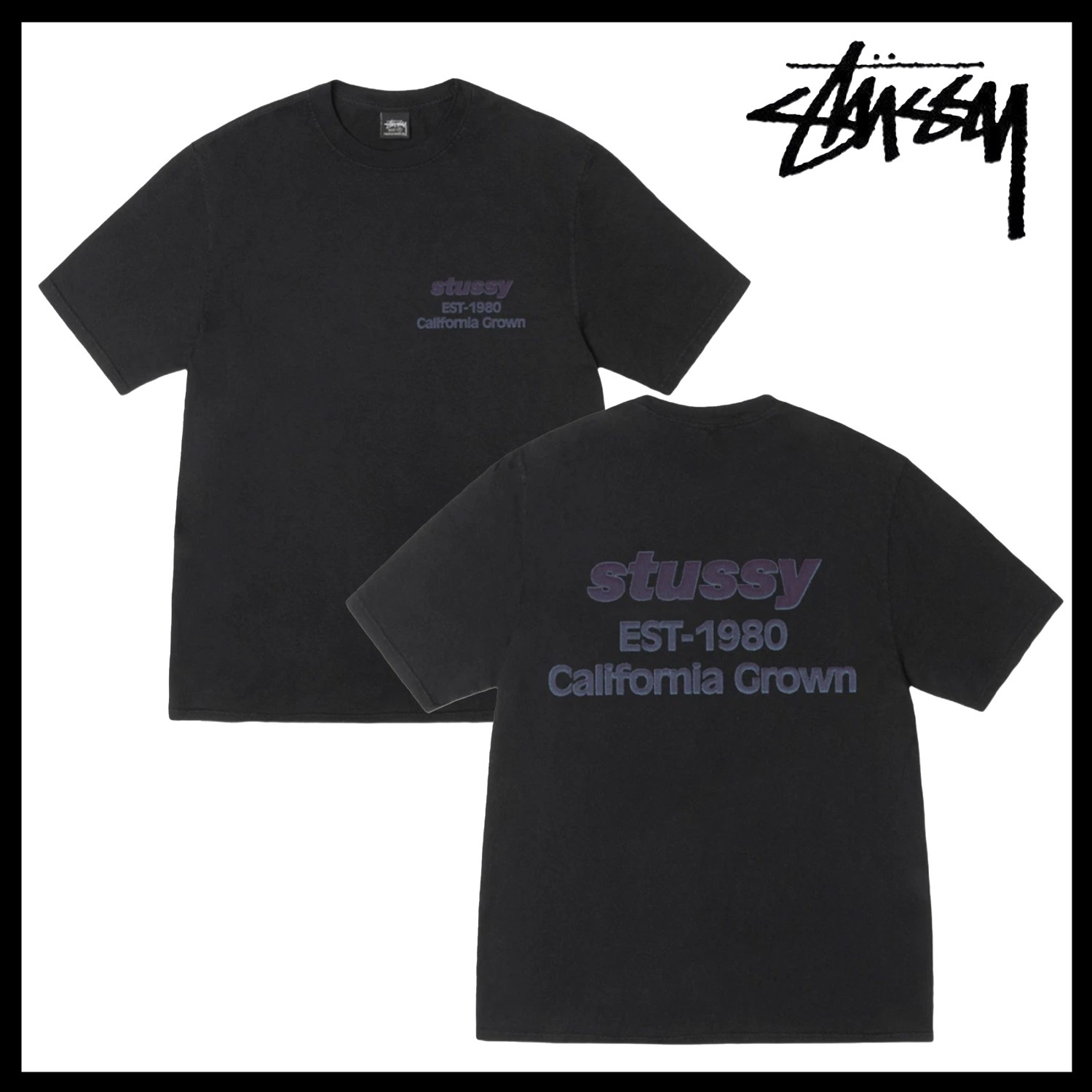 【Stussy】California Grown Pigment Dyed T-Shirt ストゥシー