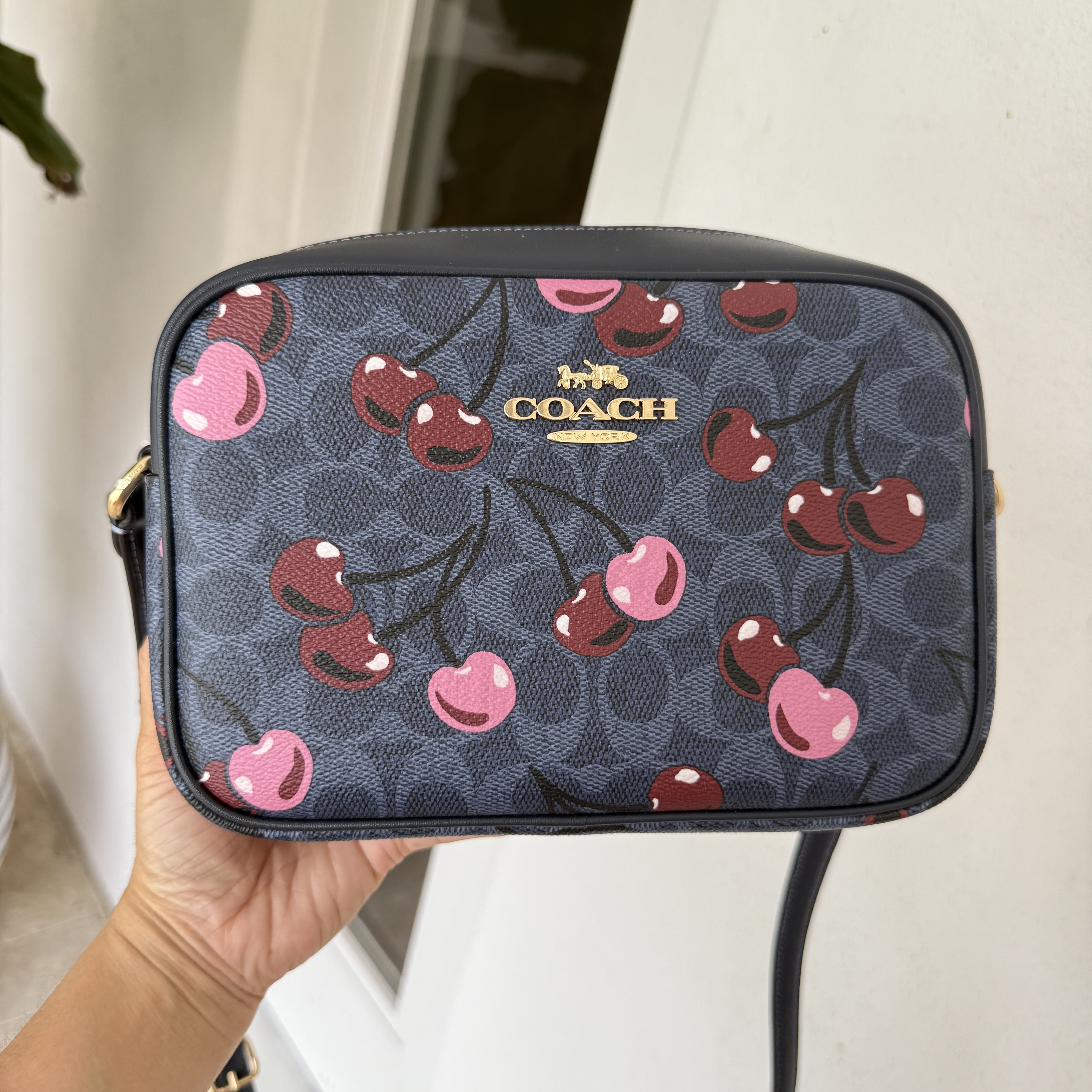 日本未入荷・完売 Coach Jamie Camera Bag CZ777 フルーツ柄