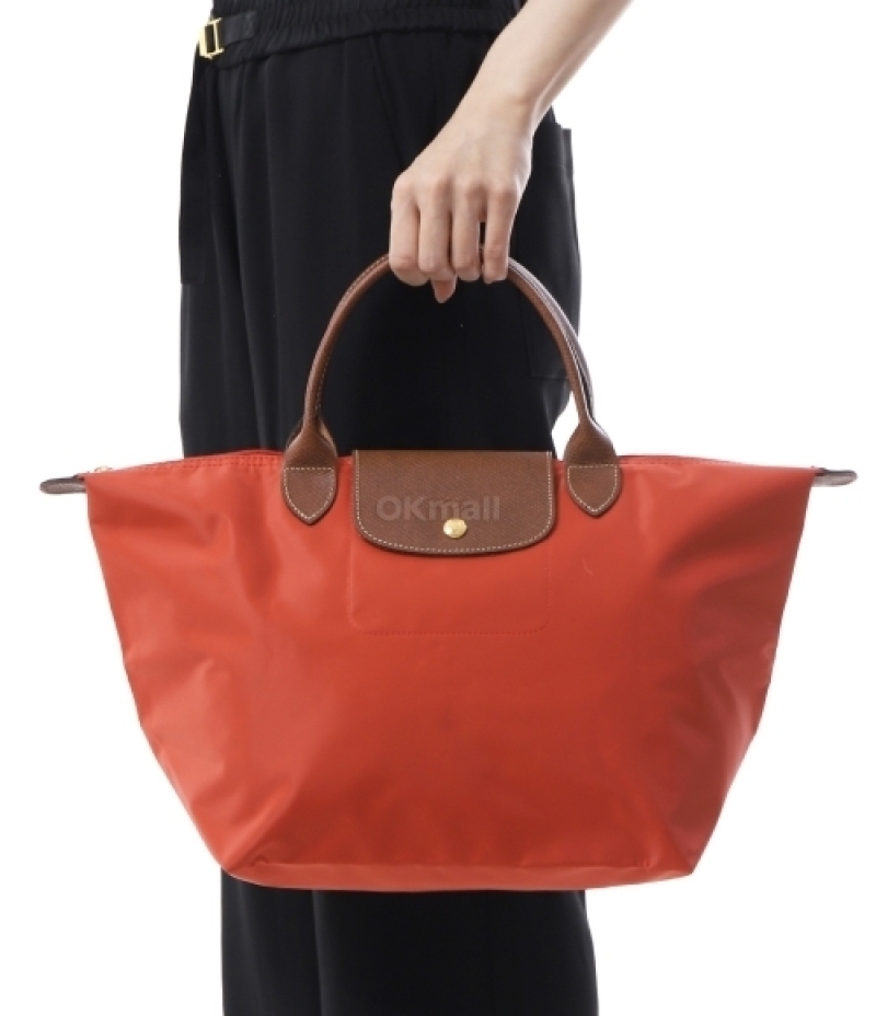 LONGCHAMP｜ (L1623089 P94)