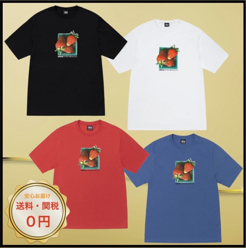 関税込み♪【STUSSY】BERRIES ベリー ★ ロゴ Tシャツ