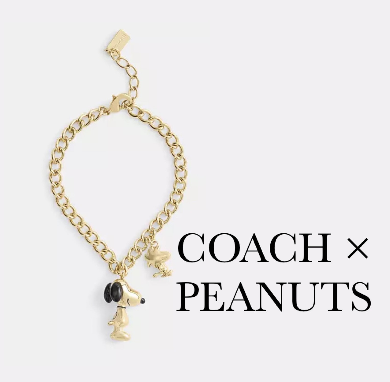 【COACH X PEANUTS】スヌーピー ウッドストック ブレスレット