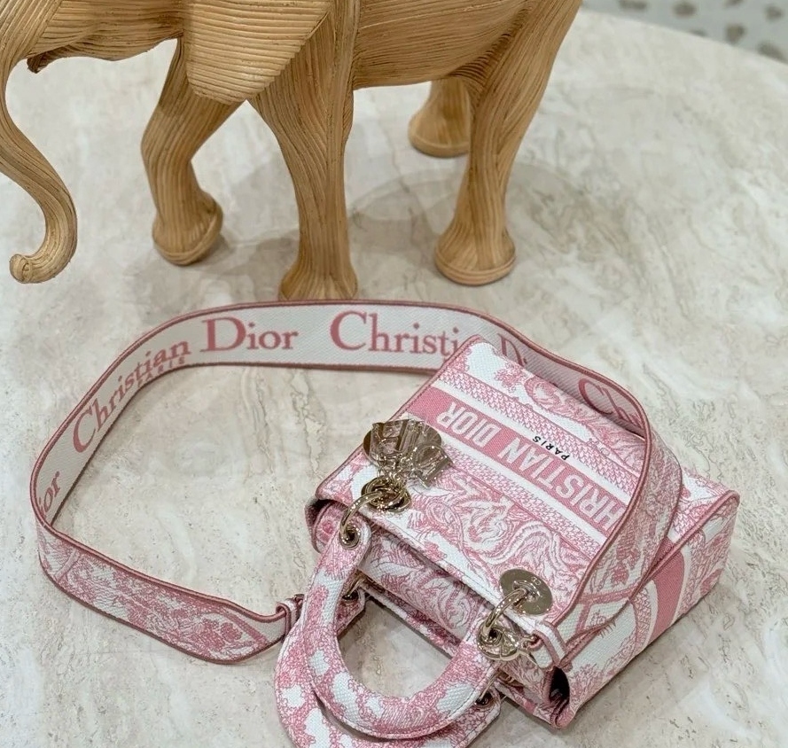 《夏とともに歩く》Dior Lady DIor Dioriviera