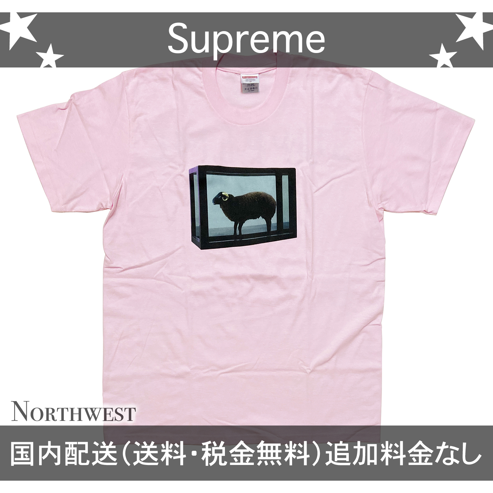 【Supreme】Damien Hirst Tee ピンク 送料無料【se1374r】