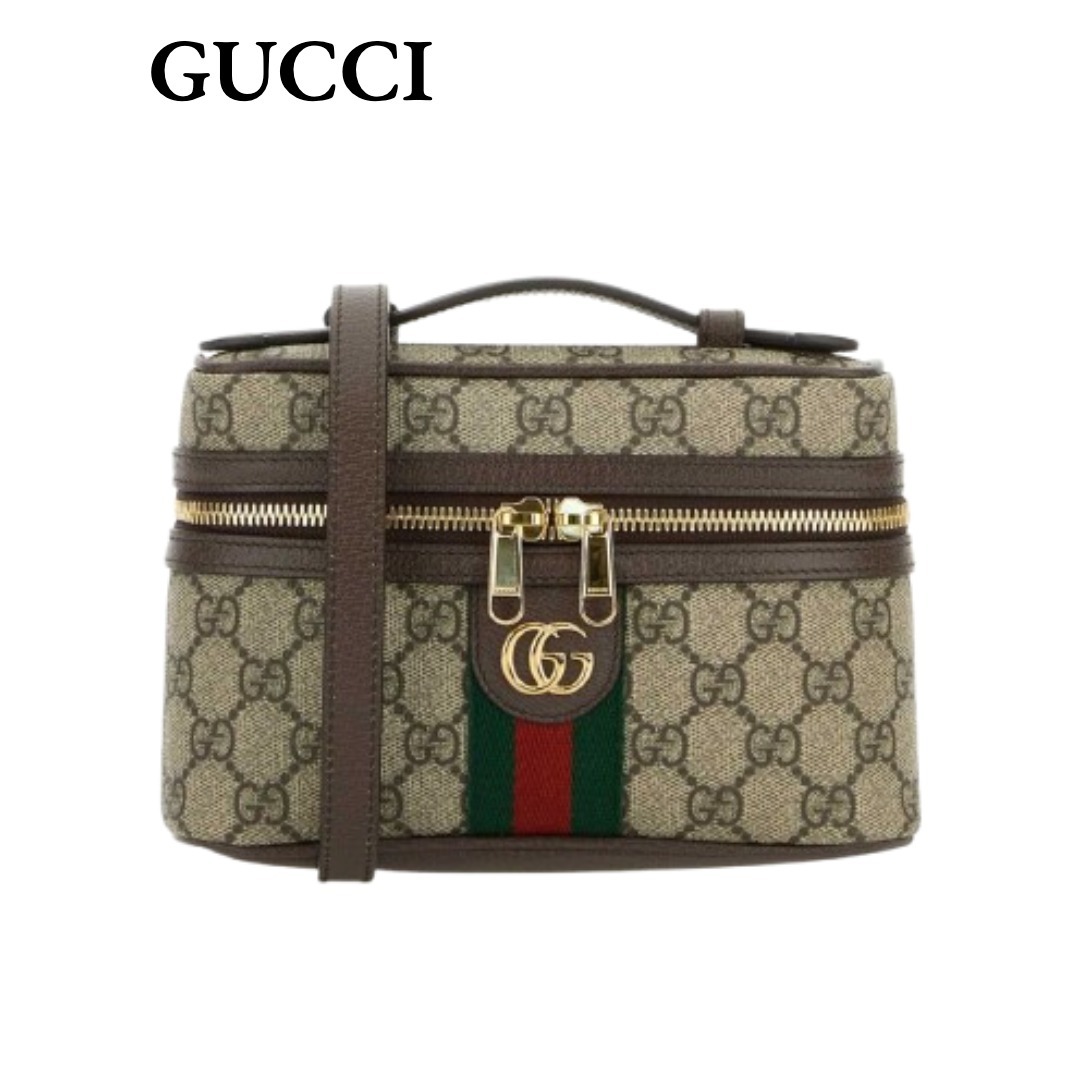 【VIP価格】GUCCI オフィディア GG ミニ ハンドバッグ