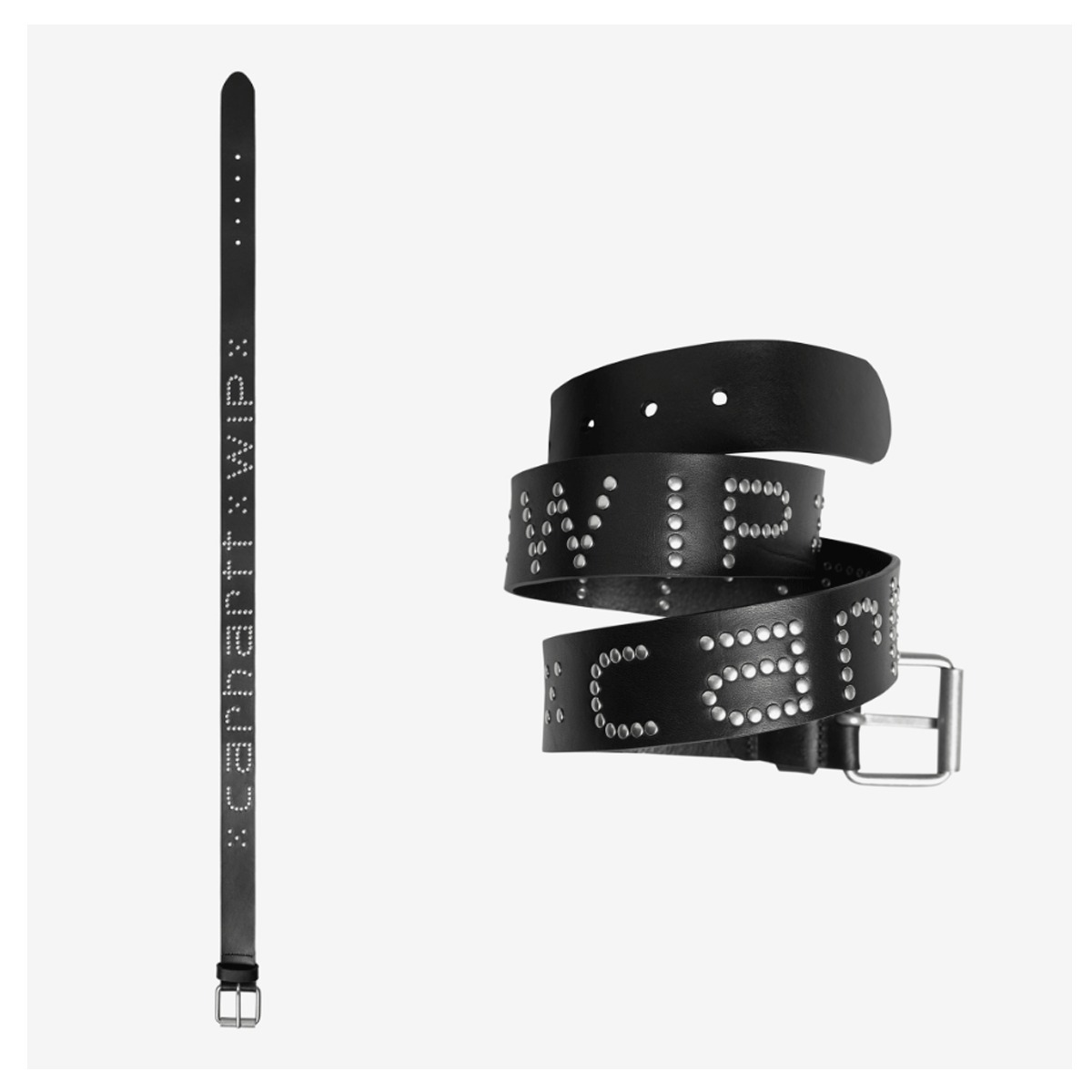 ベルト CARHARTT SCRIPT STUDS BELT 5SA392