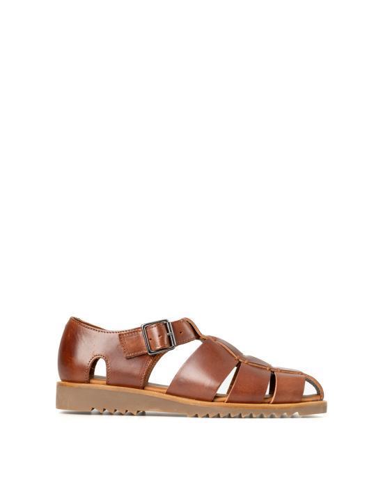 スニーカー PARABOOT Men Sneakers 123317 VEGETAL MARRON Brown