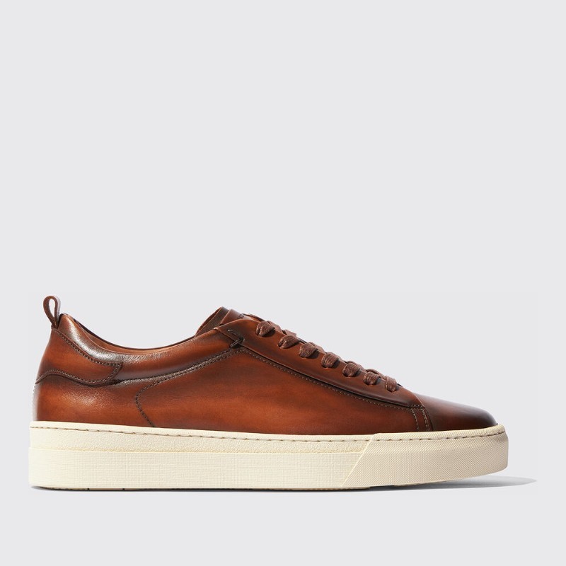 スニーカー SCAROSSO SS24 Joseph Brown (JOSEPHSNEABROCALF)