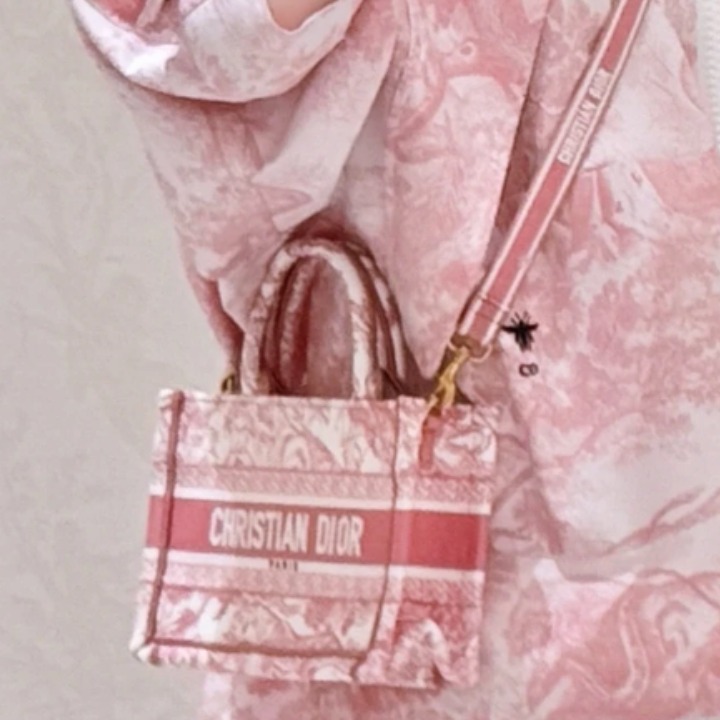 《優美な夏☆》Dior Dioriviera Book Tote ミニトートバック