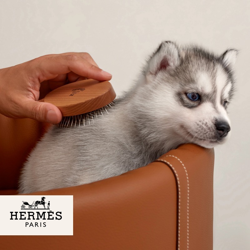 Hermesエルメスドックブラシ 犬猫ケア製品