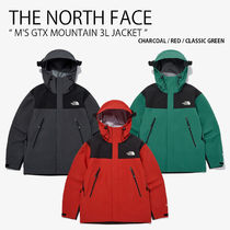 THE NORTH FACE M'S GTX MOUNTAIN 3L JACKET ジャケット