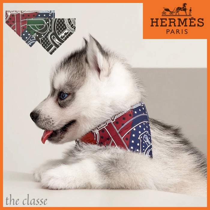 【オシャレでかわいい♪】HERMES ドッグバンダナ 撥水 シルク
