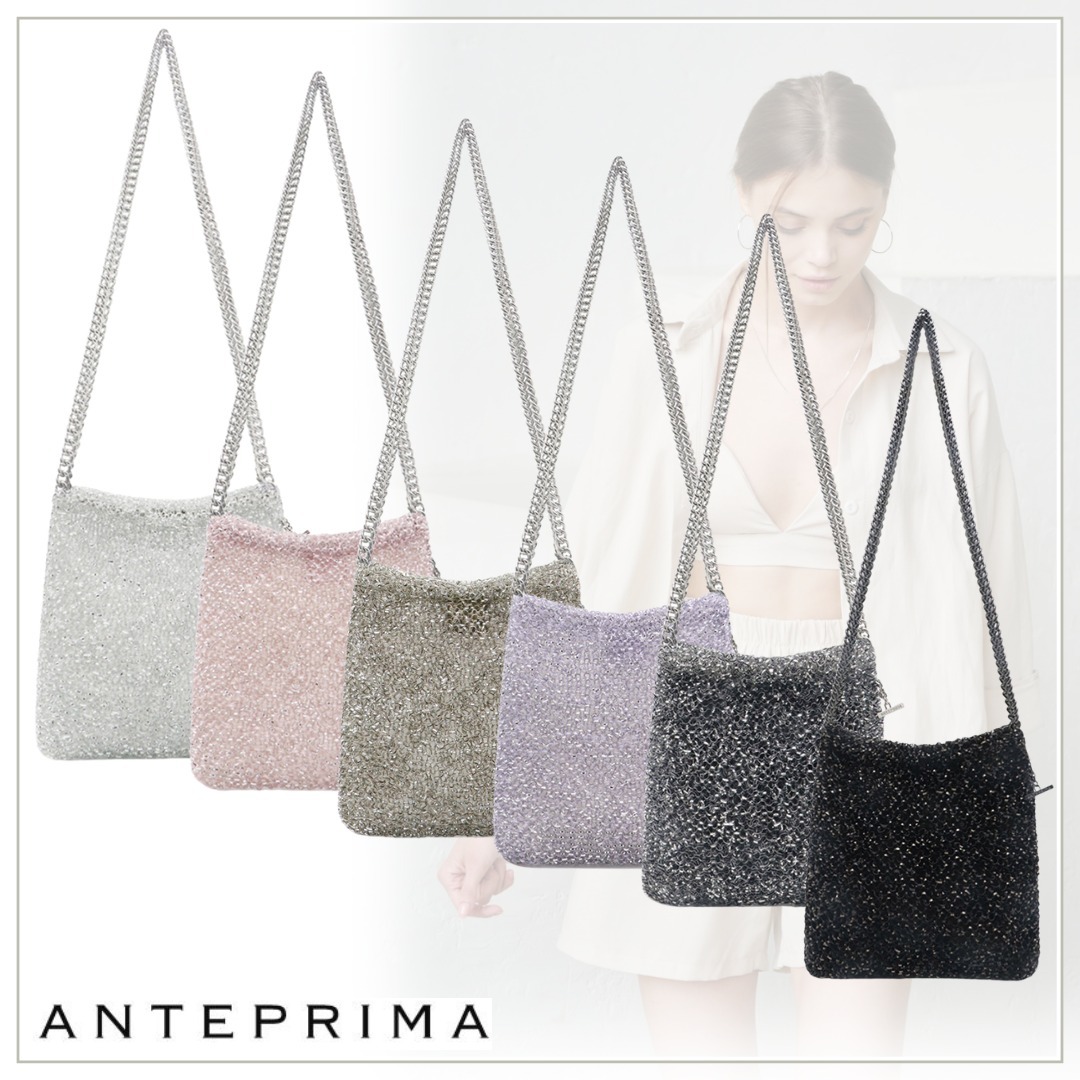 存在感絶大【ANTEPRIMA】チッタシックワイヤーバッグスモール