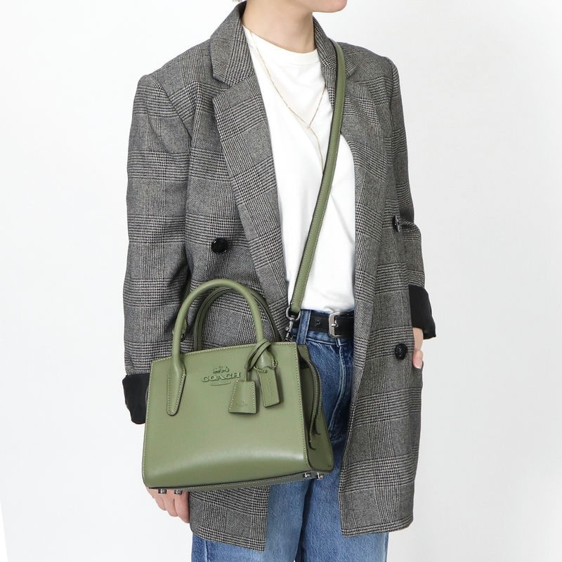 【国内/即発】 COACH ショルダーバッグ Andrea Carryall 本革