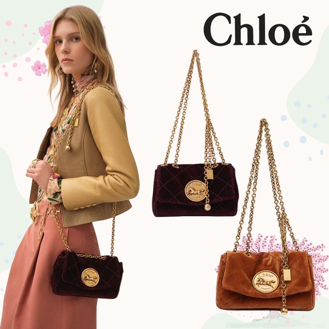 【Chloe】ストライプ カーフ ミディアム クロスボディバッグ