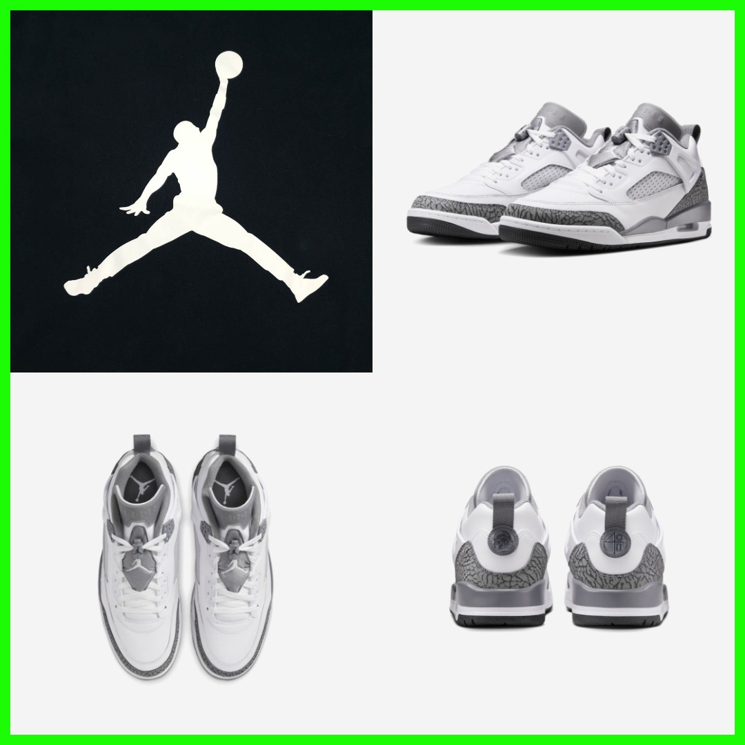 ★NIKE Jordan Spizike Low★