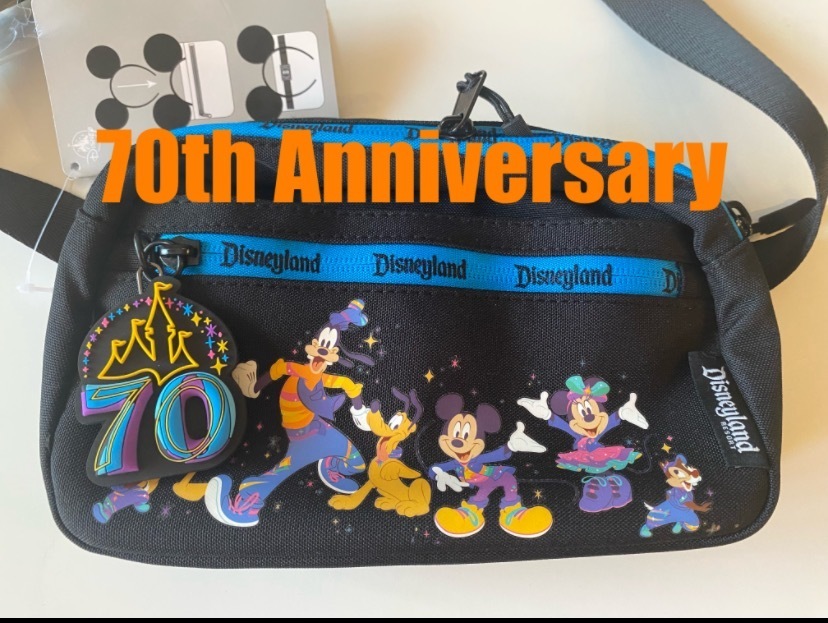 カリフォルニアディズニー 70周年 カチューシャ収納 ポーチ