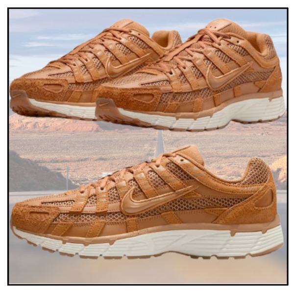 NIKE ★ レトロなランニングスタイル P-6000 SE メンズシューズ