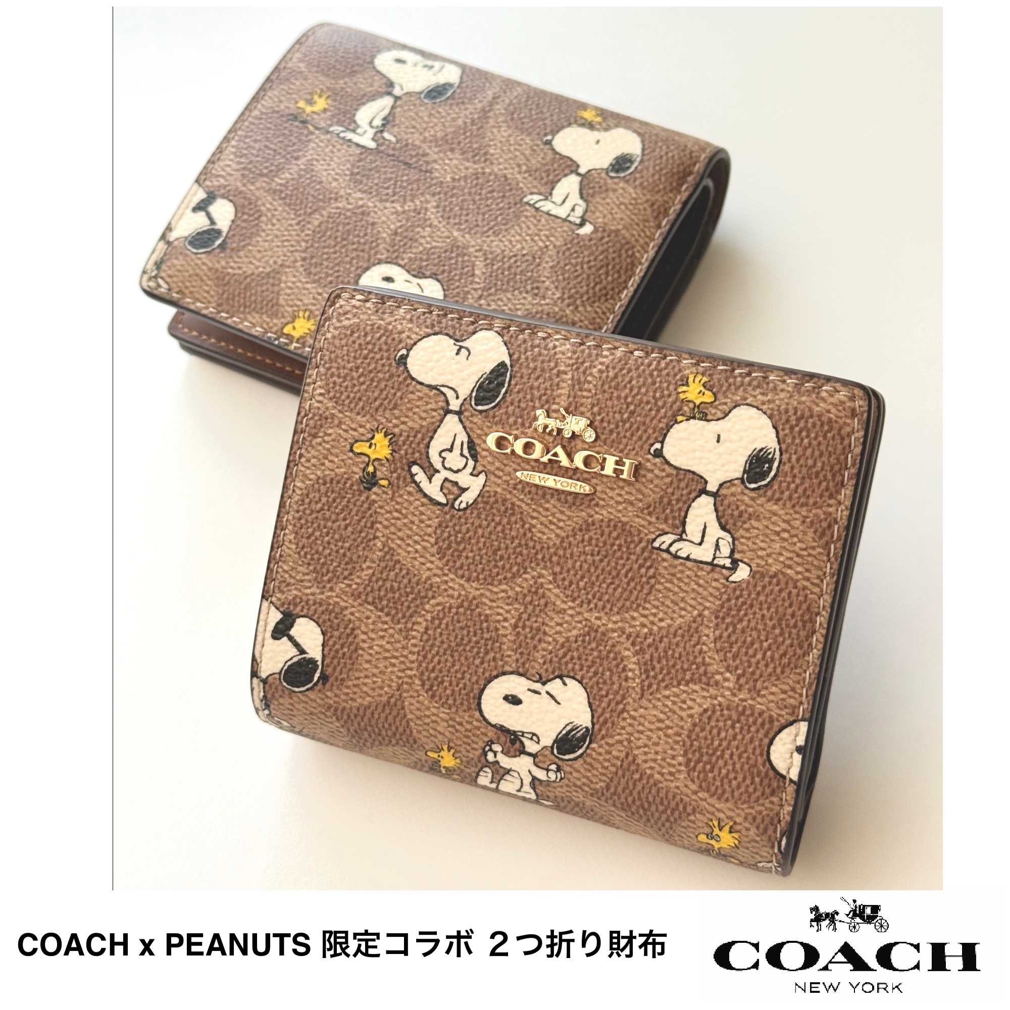 [COACH x PEANUTS] スヌーピー 限定コラボ 二つ折りミニ財布