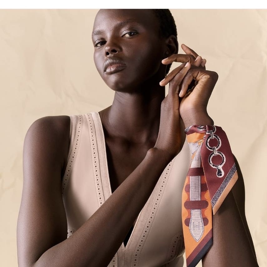 【HERMES】人気！ ☆ ツイリー 《ブリッド・ア・ブロック》 ☆