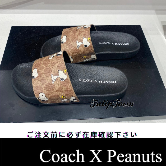 【Coach X Peanuts】サンダル スヌーピー在庫確認ください CBM96
